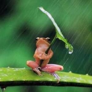 Meet your Posher, Barb